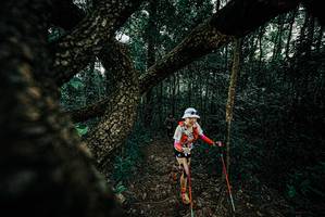 BIB: 
                            <button type="button" onclick="openModal(25683260)" class="btn btn-primary btn-sm float-right btn-popup" data-toggle="modal" data-target=".modal-high-quality">
                        <i class="fas fa-shopping-cart"></i> Add to Cart
                    </button>
                                            <button type="button" onclick="isThisMe(25683260, true)" class="btn btn-success btn-sm float-right btn-popup btn-isme hidden" data-toggle="tooltip" data-placement="bottom" title="นี่คือรูปของคุณใช่ไหม คลิกที่นี่เพื่อเอาเข้าอัลบั้ม">
                        <i class="fas fa-plus"></i> Add to album
                    </button>
                    <button type="button" onclick="isThisMe(25683260, false)" class="btn btn-warning btn-sm float-right btn-popup btn-isnotme hidden">
                        <i class="fas fa-ban"></i> Remove from album
                    </button>